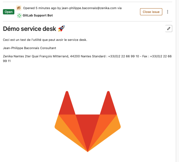 Service Desk - detail issues 