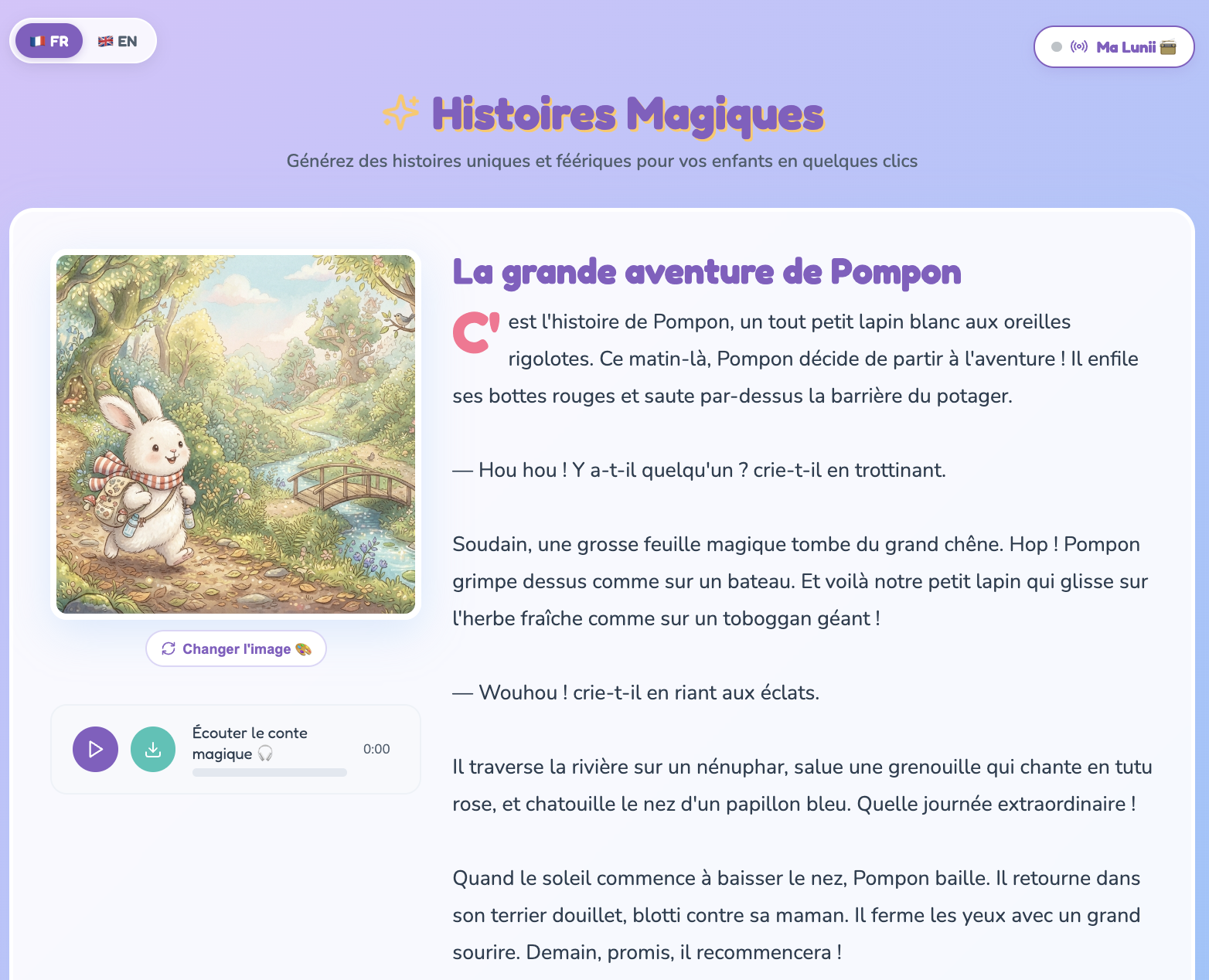 Représentation finale de l'application